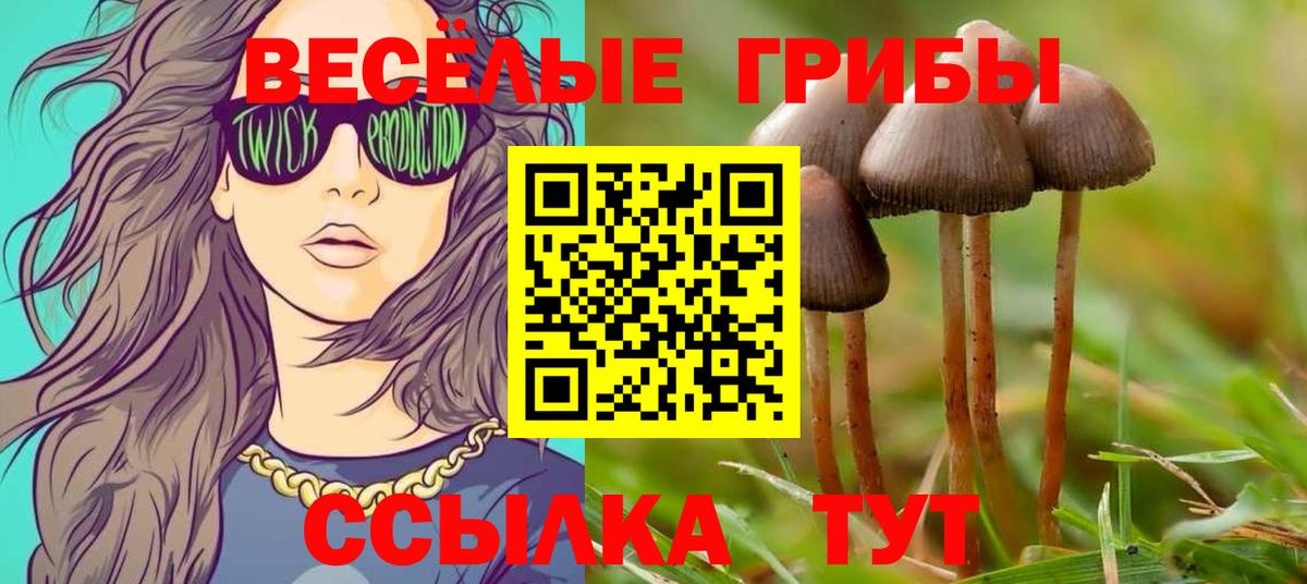 Луга  Псилоцибиновые грибы MAGIC MUSHROOMS  Галлюциногенные грибы GOLDEN TEACHER  Вход с VPN 