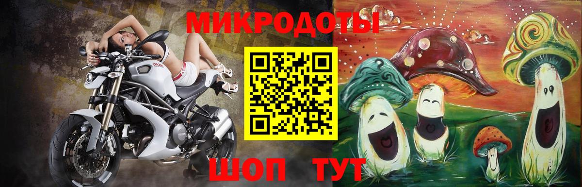 Галлюциногенные грибы Cubensis Луга